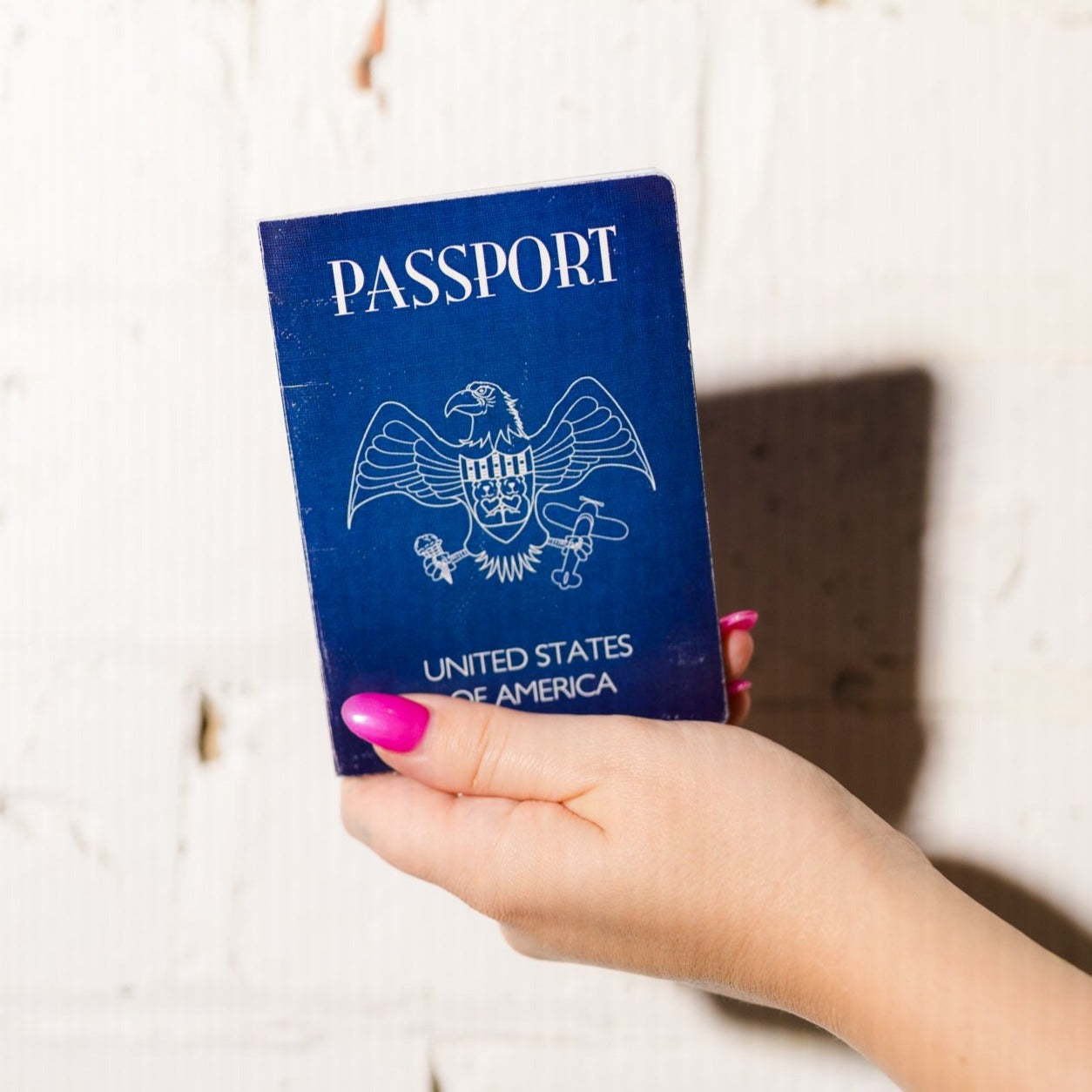 American Teddy Bear Passport