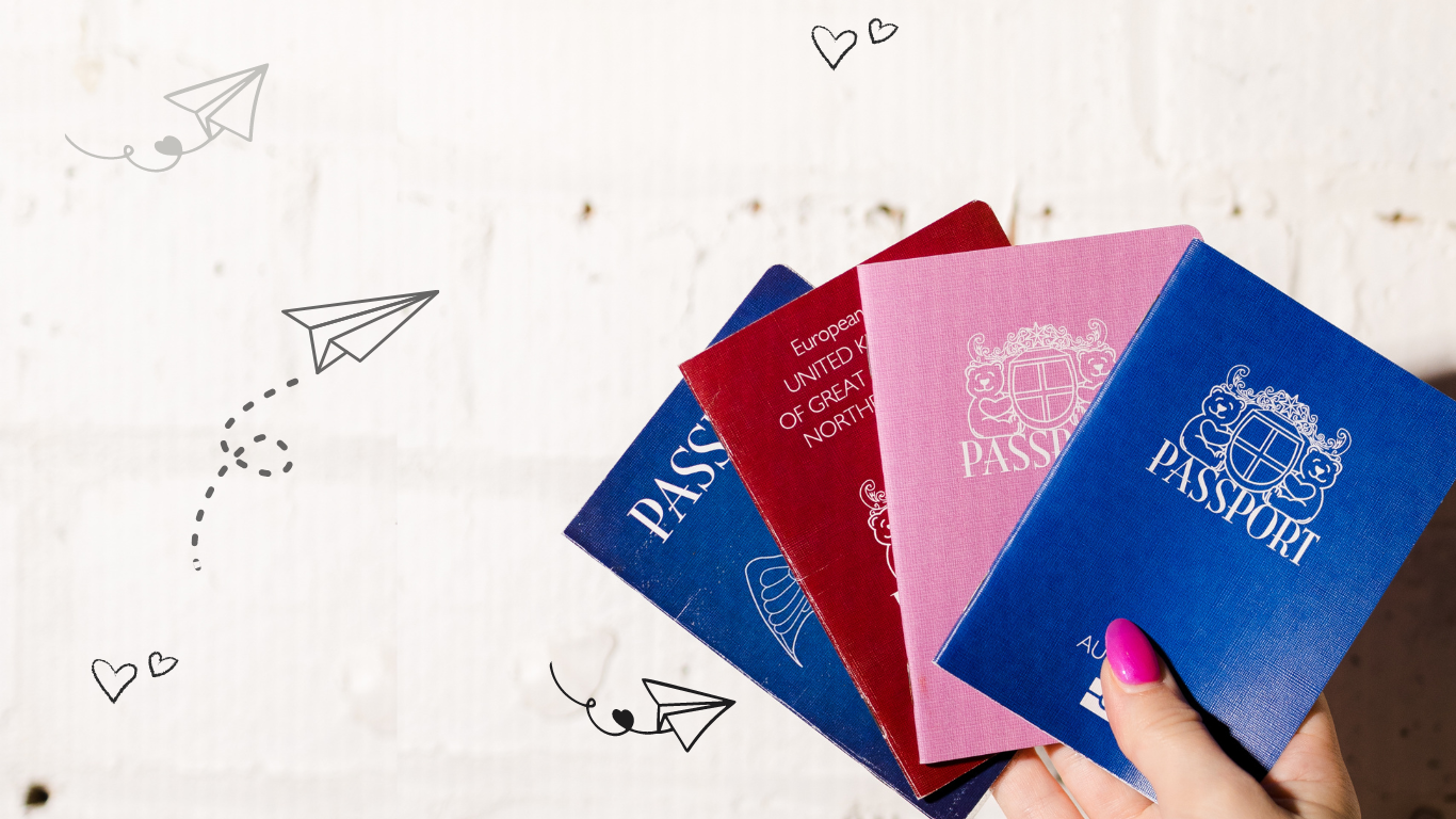 Teddy Bear Passports