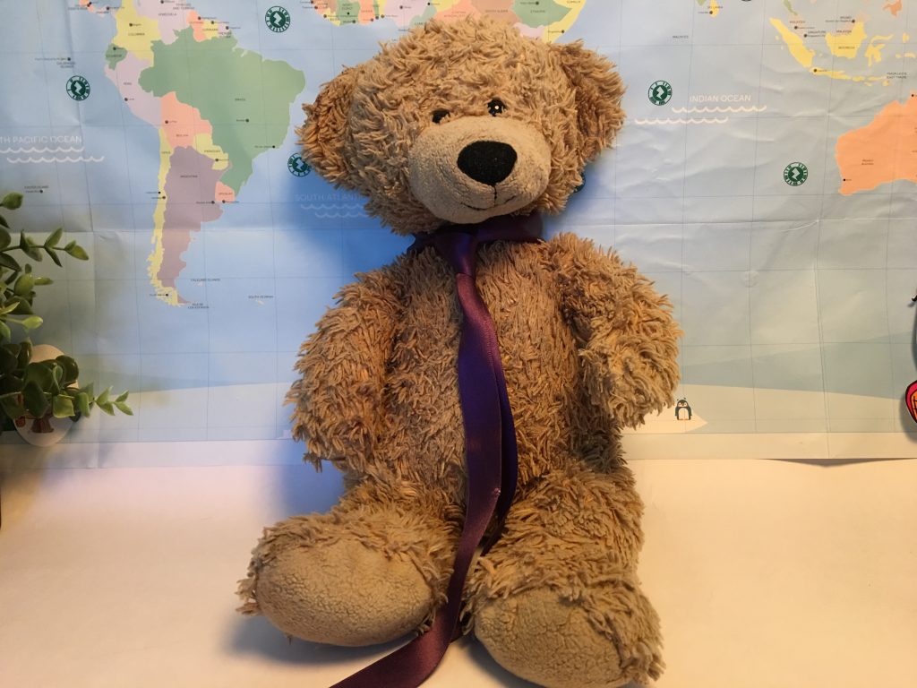Jet - Teddy Bear Passport MD